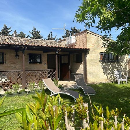 La Capparuccia Daire Civitanova Marche Dış mekan fotoğraf
