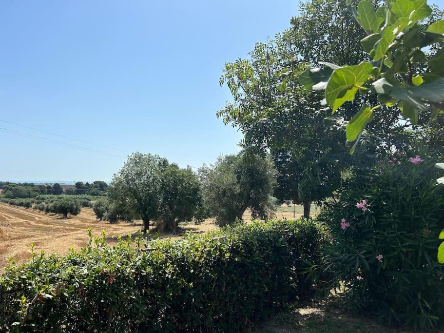 La Capparuccia Daire Civitanova Marche Dış mekan fotoğraf