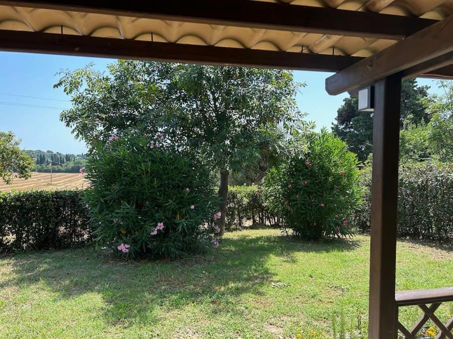 La Capparuccia Daire Civitanova Marche Dış mekan fotoğraf
